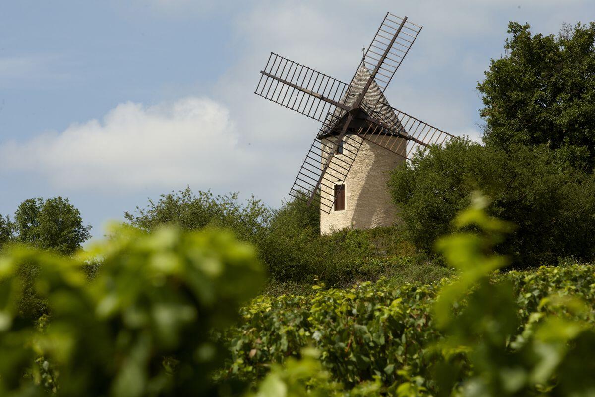 Moulin Sorine à Santenay