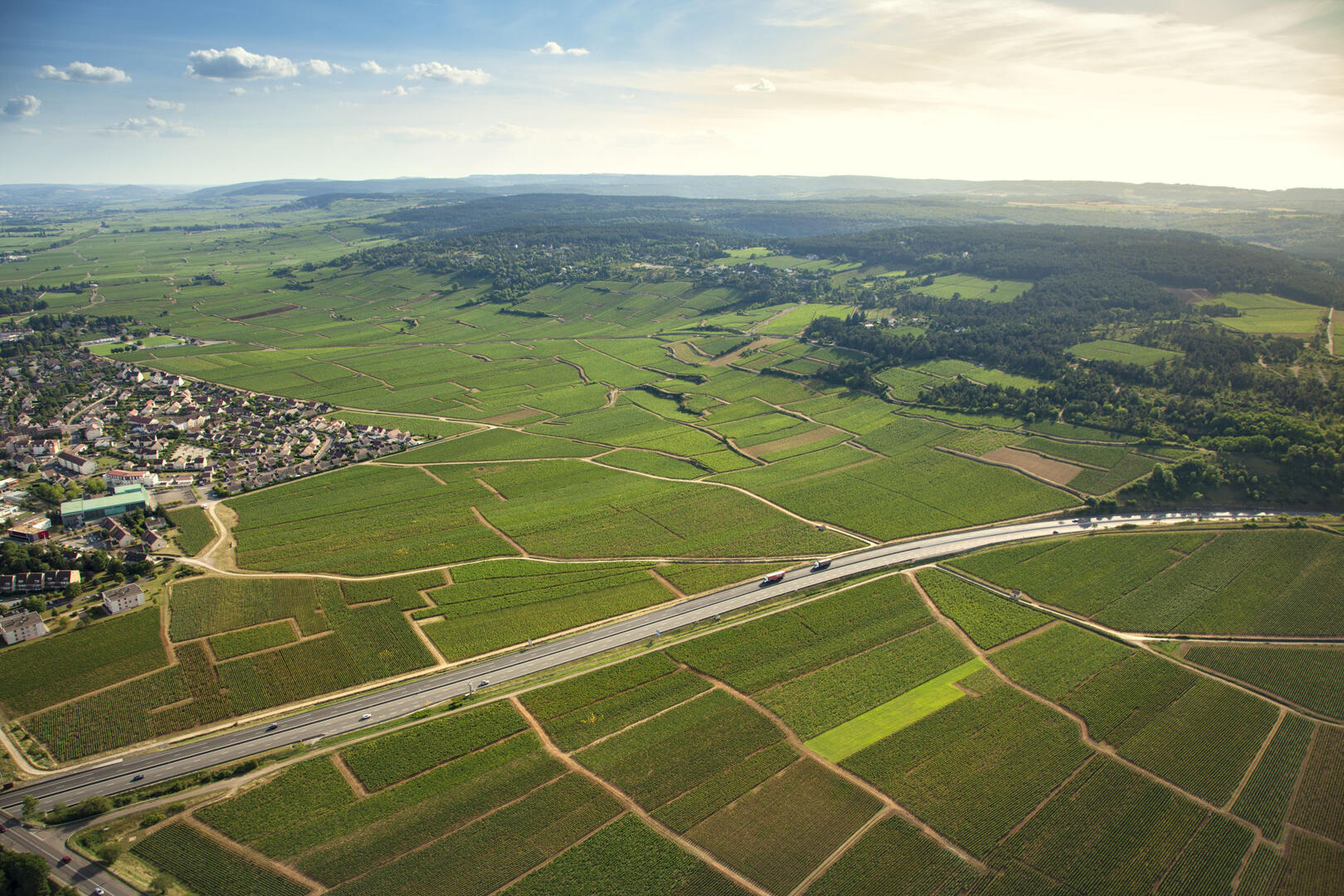 Vignes de Beaune