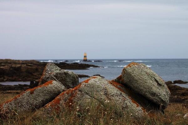 divers-ile-d-yeu-camille-taraud-51-131926