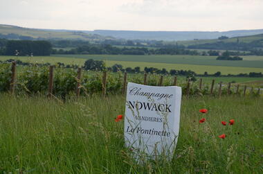 champagne nowack