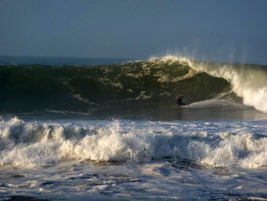 Swim-and-surf (1).jpg