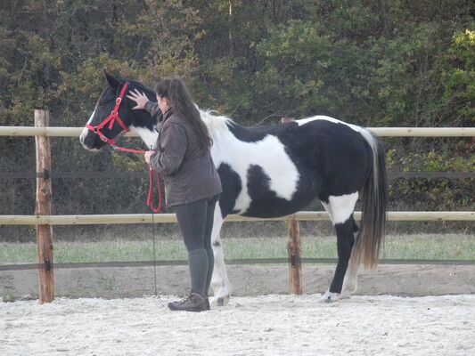 Balade_poney_ferme_Grillaults_La_Roche_Posay (8).jpg