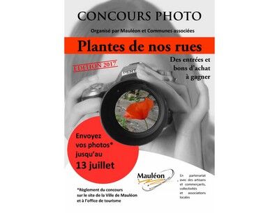 Affiche_concours_photo_sit.jpg