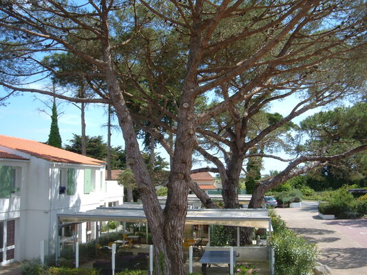 DSCF2689.JPG