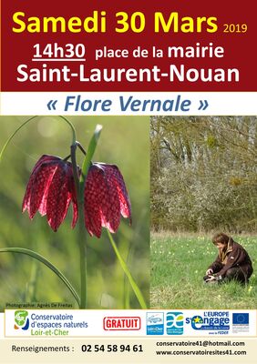 30_03_2019_prairie_arrachis _Flore_vernale.jpg