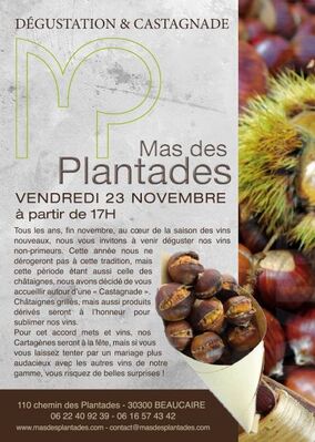 Affiche Mas des Planatdes.jpg