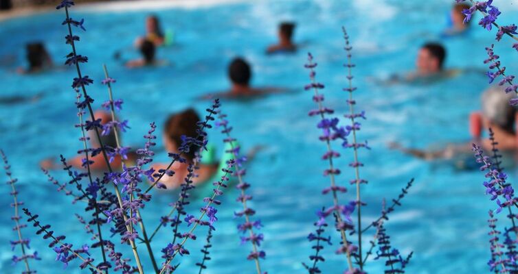 aqua lavande cassandre.jpg