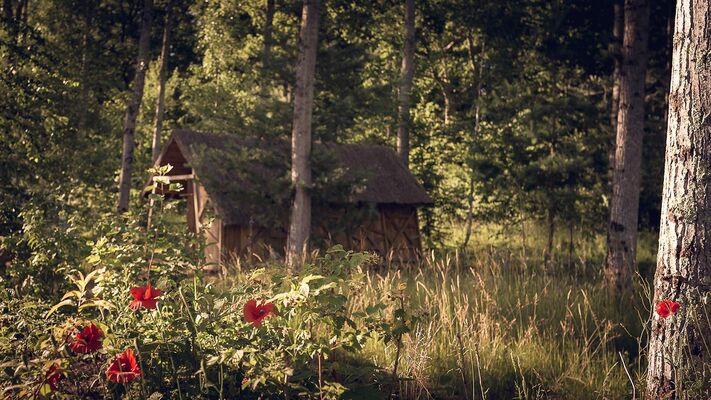 Camping-L'heureux-hasard,-cabane-en-bois,-nature,-forêt,-val-de-Loire,-Cheverny,-zoo-de-Beauval.jpg