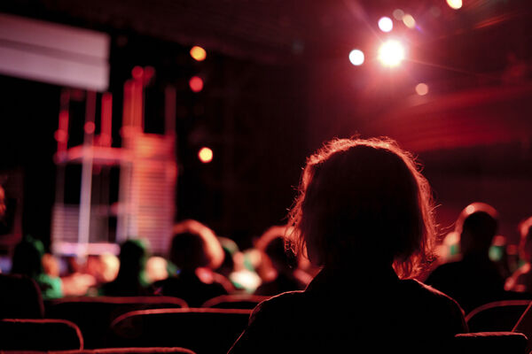 Spectacle concert.jpg