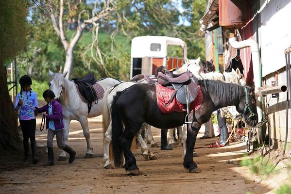 zarlor quiétude à cheval pack 3.jpg