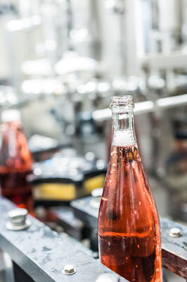 DB-degorgement-LD-63.jpg