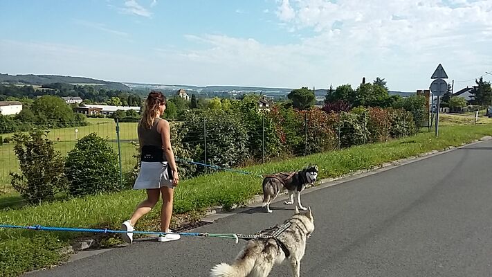 cani_rando_La_Roche_Posay (1).jpg
