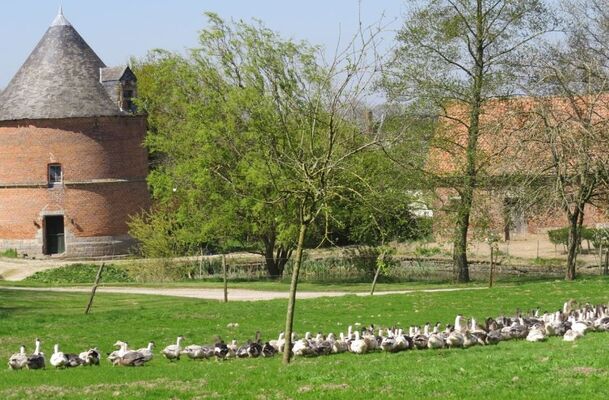 ferme du colombier.JPG