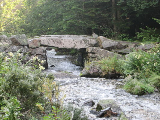 Randonnée à l'étang de Conte 015.JPG