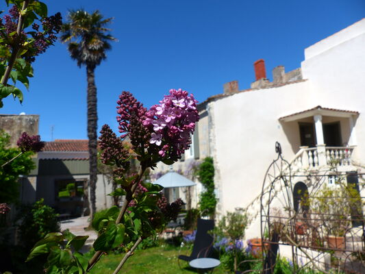 hotel-ile-de-re-la-maison-douce_18.JPG