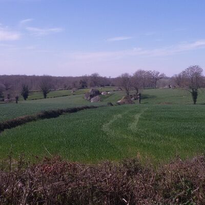 labsie-bois-hauts-de-gatine-rando-pedestre.jpg
