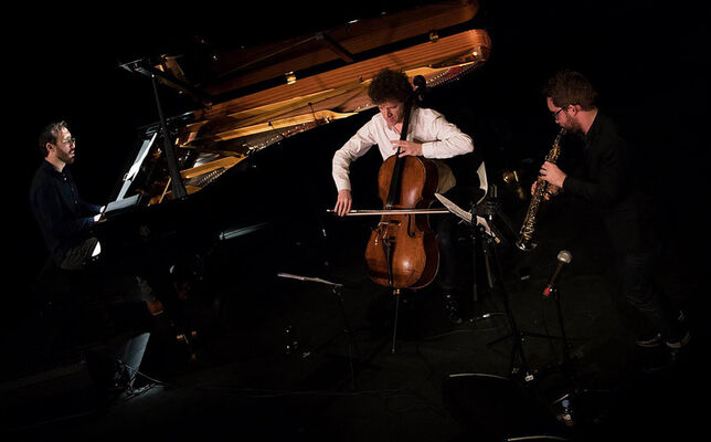 12.12.19 trio herman salque.jpg