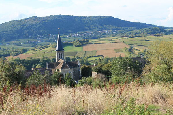 Saint-Denis-de-Vaux-Vallee-paysages-OT (6).JPG