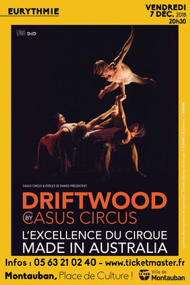 07.12.18 driftwood.jpg