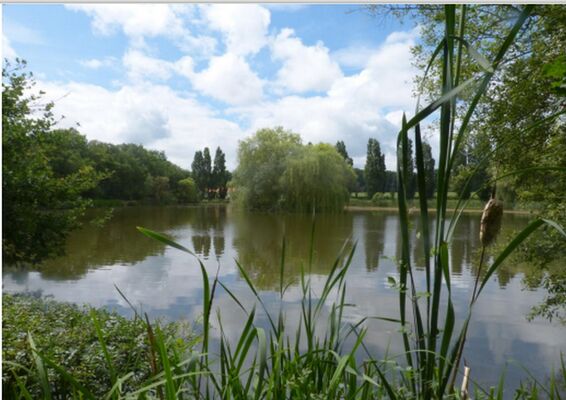 etang.jpg