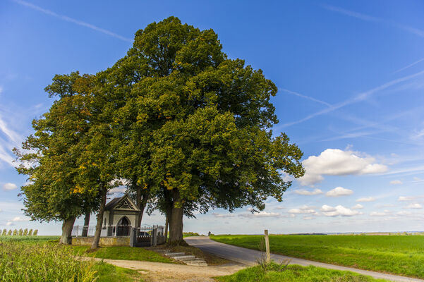 _DSC1357-VisitMons-GrégoryMathelot.jpg