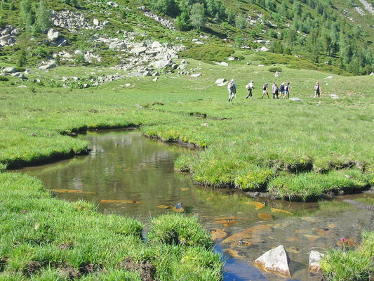 PR 4 La vallée du Carol.jpg