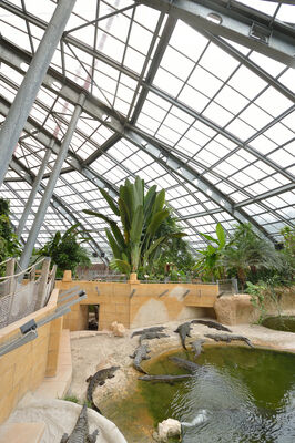 Planète des Crocodiles - Civaux - 2017 - ©Momentum Productions Mickaël Planes (36).JPG