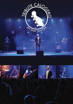 Tribute Calogero - Concert 17 aout.jpg