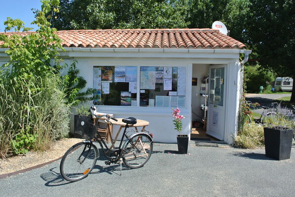 camping municipal les portes en ré.JPG