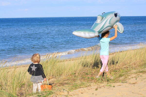 Ile de Re_Plage de La Re#FC.JPG
