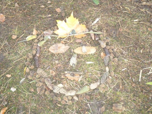 Land art1.JPG