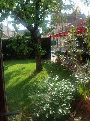 Jardin.JPG