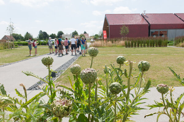 Cultivons_ la_terre_noire_2019-06-30_Pidz-350.jpg