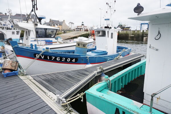DSC07824.JPG