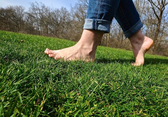 sentier-pieds-nus-loisirs-loire-valley-pelouse.jpg
