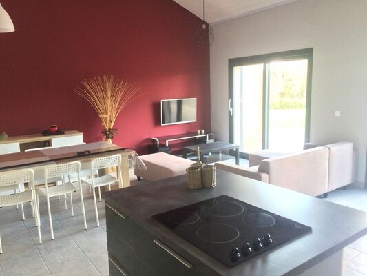 la-foret-sur-sevre-gite-ograndair-cuisine-sejour.jpg