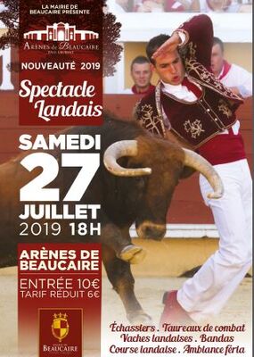 Affiche spectacle Landais.JPG