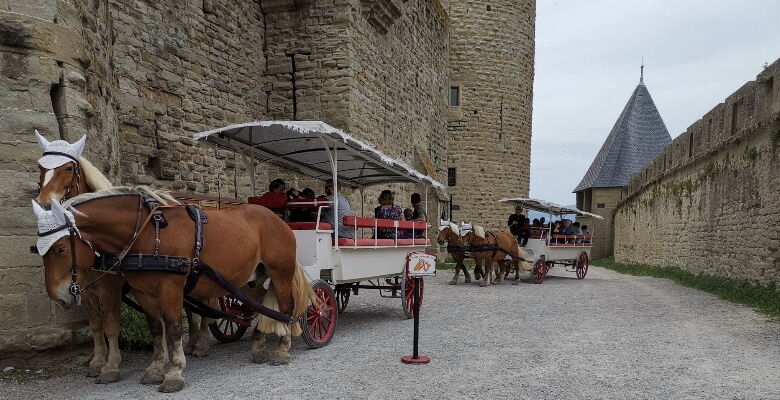 CALECHE©lkaOMTCarcassonne.jpg