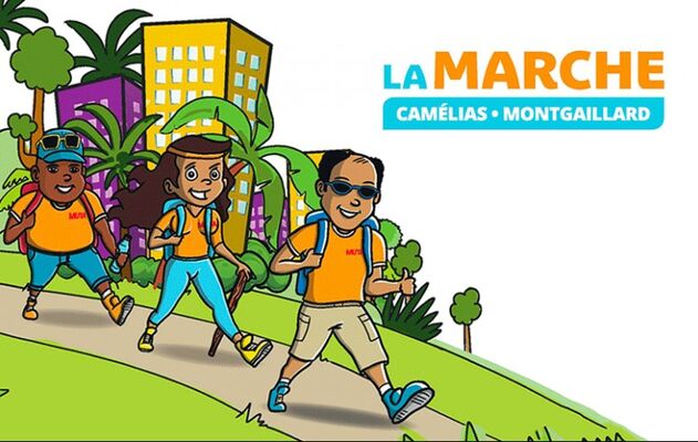 affiche marche camélias montgaillard.jpg