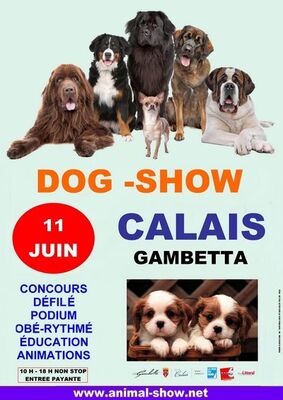 592d125272e7e55c09d3d2faSALON CHIEN - FB.JPG