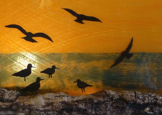 atelierdeverre-fusing-contre-jour-oiseaux-iledere-6.jpg