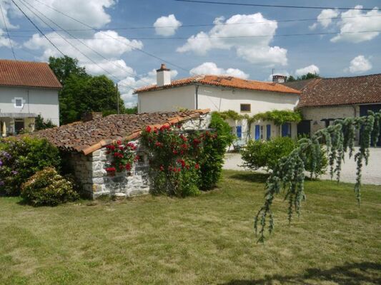 Les hirondelles - St Martin L'Ars ©Mme Codling.jpg
