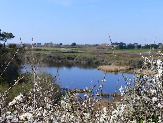 Photo 9.JPG