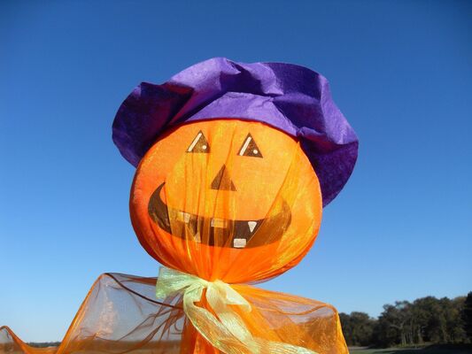 funny-halloween © Pixabay - diffusion interdite.jpg