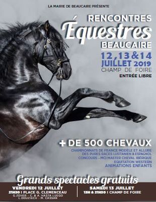 Affiche Rencontres Equestres 2019.JPG