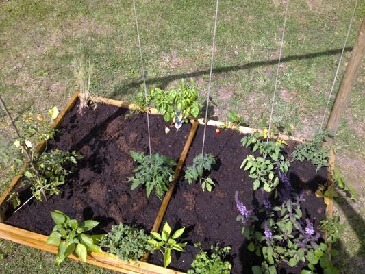 Jean Dubois carré potager.jpg