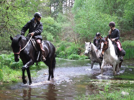 Centre_Equestre_Crinieres_Ouest_Lanvenegen (11).jpg