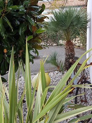 Resized_20180220_160046.jpg