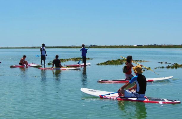 SUP EVASION ile de ré (7).jpg