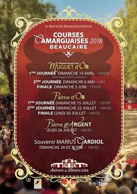 Saison-course-camarguaises23.jpg